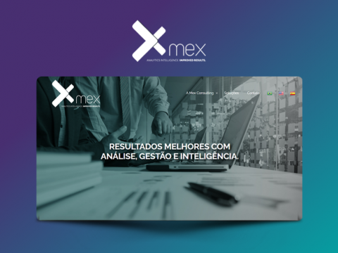 Mex Consulting